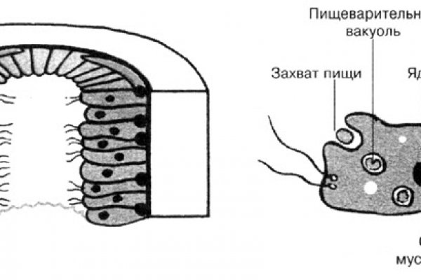 Пользователь не найден кракен даркнет